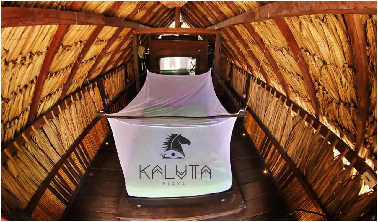 Kaluta Vandrarhem Palomino Exteriör bild